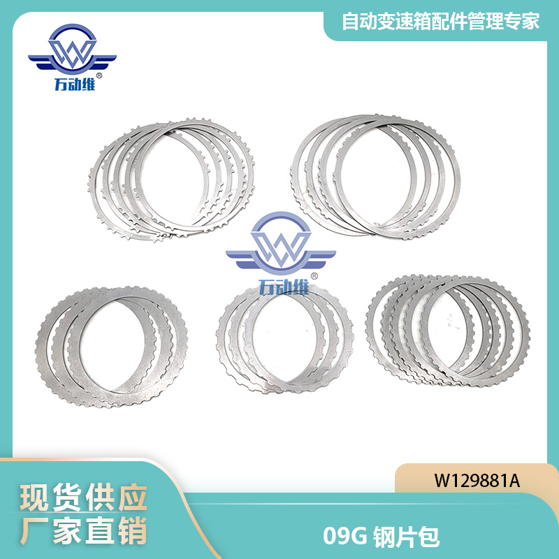 09G钢片包
