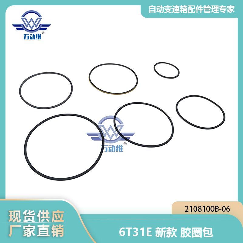6T31E新款胶圈包