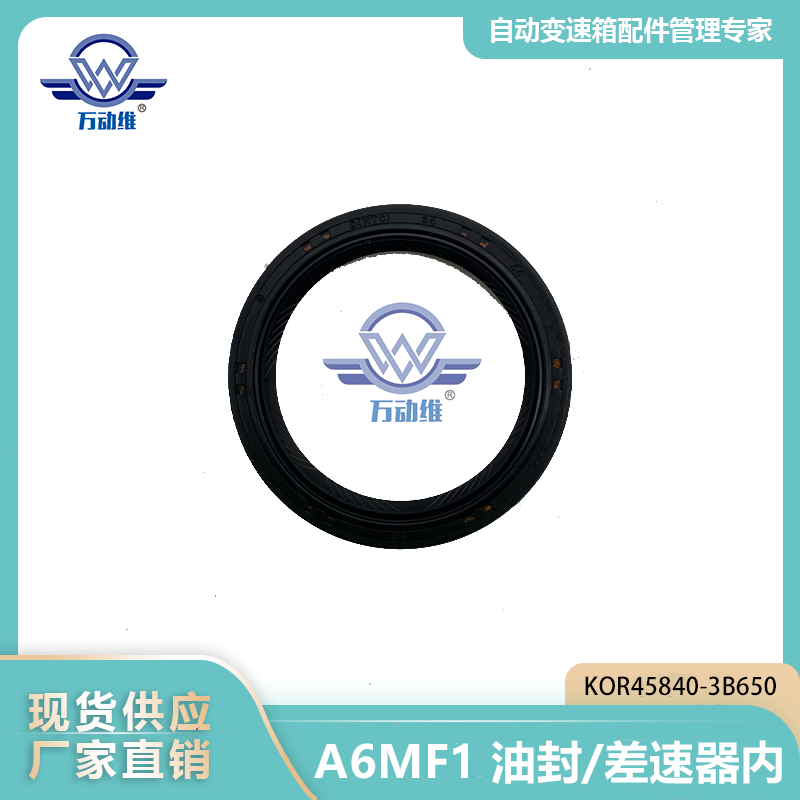A6MF1油封/差速器内