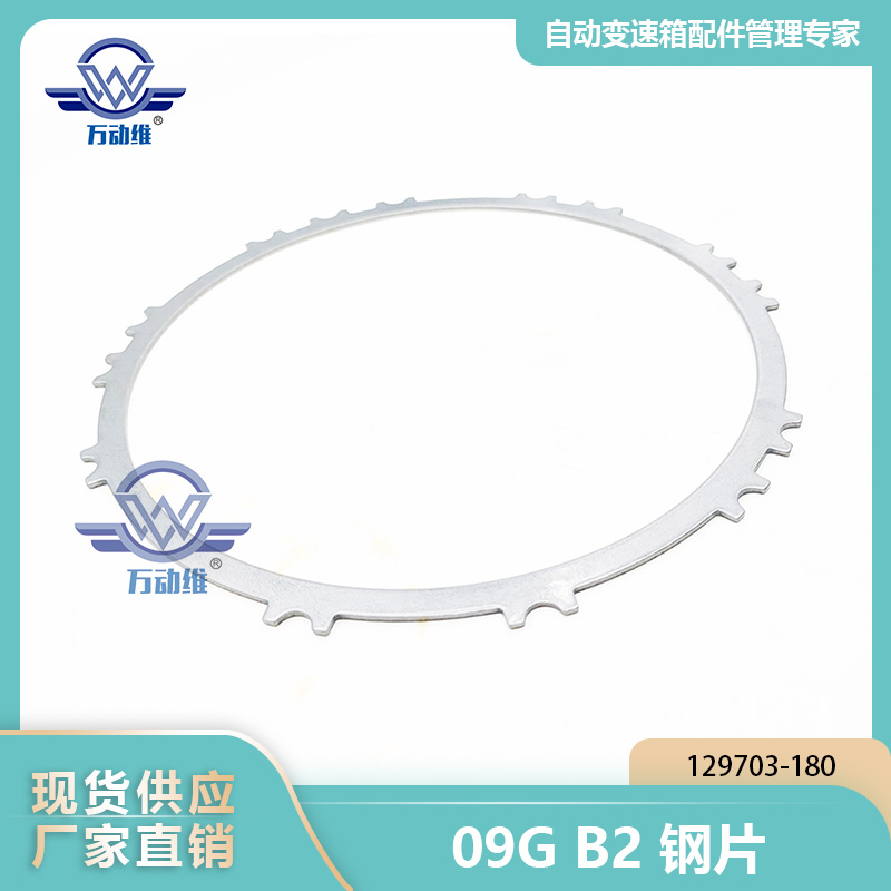 09G B2钢片