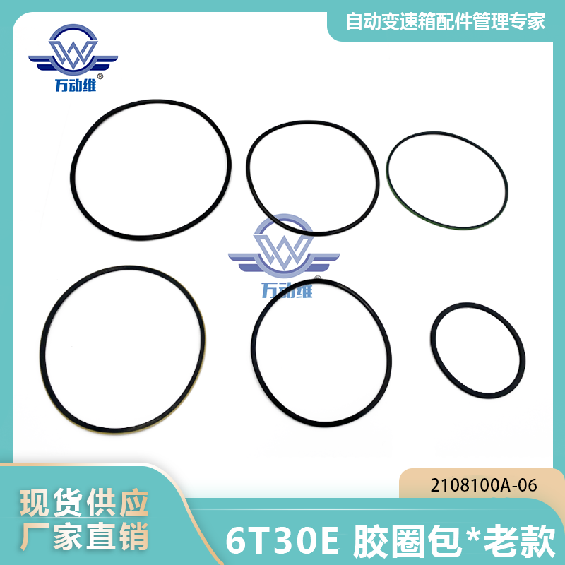 2108100A-06 6T30E 胶圈包老款